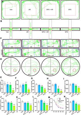 Corrigendum: Artemisinin reduces PTSD-like symptoms, improves synaptic plasticity, and inhibits apoptosis in rats subjected to single prolonged stress